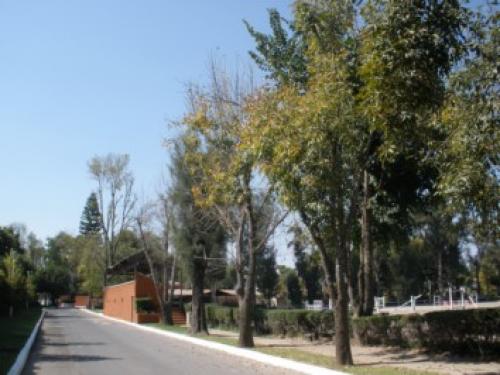 FRACC. PRIVADO, EXCELENTE UBICACION (E)