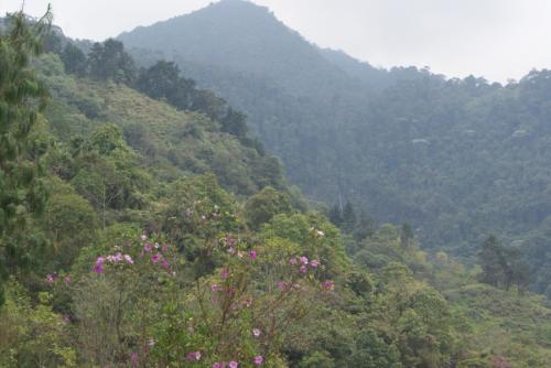 Vendo Finca Apta Para  Negocio Ecoturístico, Ganadero Y Agrario
