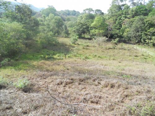 venta de terreno el reten en el tuito