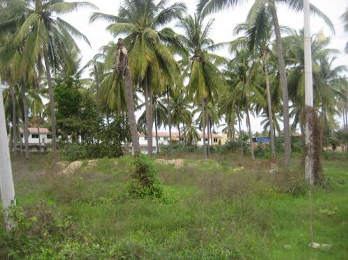 VENTA DE TERRENO DIAMANTE