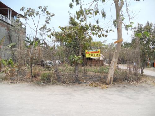 VENDO TERRENO EUTIQUIO