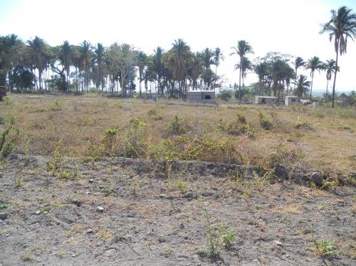 VENDO TERRENO VISTA DEL MAR