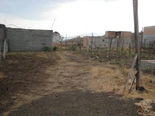 Terreno de 160 mts. atrás del Estadio Morelos 