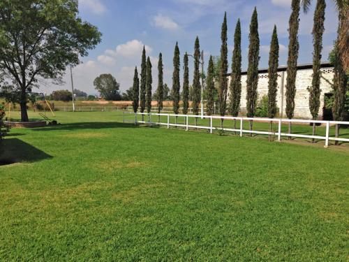 Terreno, Granja en venta / San José del Quince / El Salto, Jalisco (México)