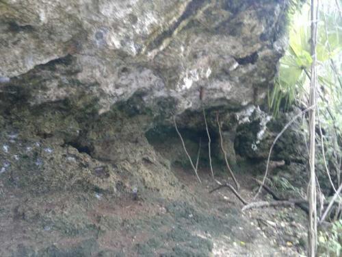 EXCELENTE OPORTUNIDAD DE VENTA DE TERRENO EN YUCATÁN