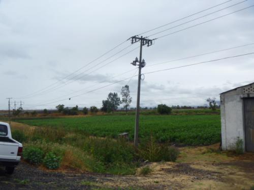 Terreno grande en venta, carretera Morelia-Zinapécuaro