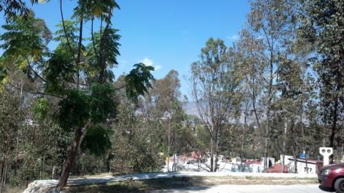 Terreno en venta en Residencial Lomas de la Floresta