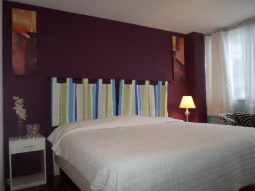 Renta de suites para grupos de amigos intercambios semestral