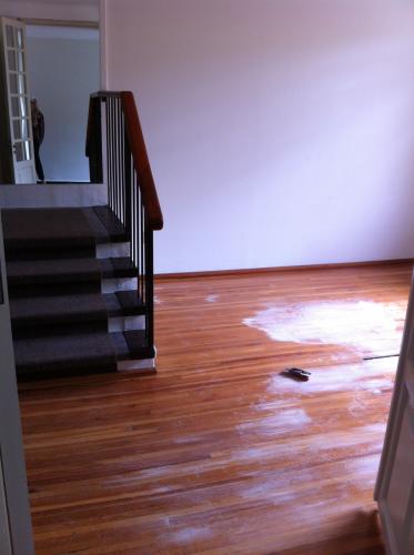 Renta casa Lomas de Chapultepec 3 recámaras 