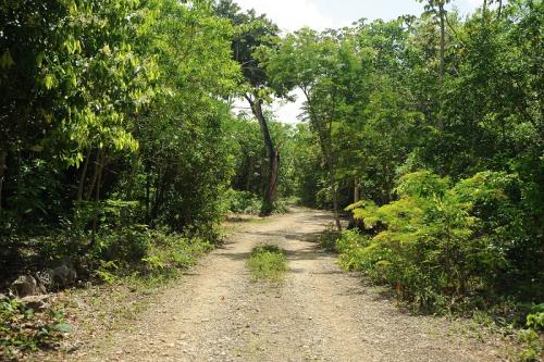 EXCLUSIVO TERRENO RESIDENCIAL EN CANCUN