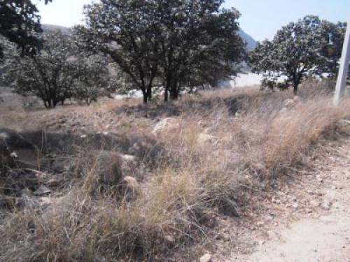 MONTICHELO,  CERCA DE CARRETERA