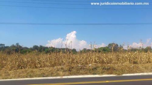 Se vende terreno sobre carretera Mexico-Cuautla, Tepetlixpa