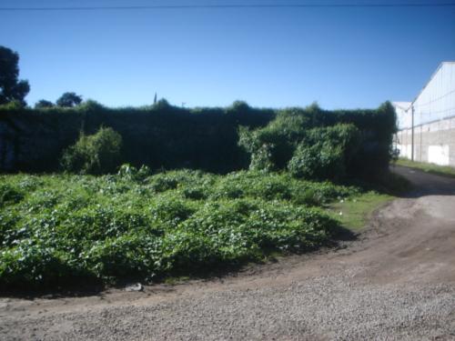 Terreno 240 m2 en esquina uso mixto Col. Cuautlancingo Puebla