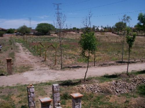 Vendo lote 1 Campestre de 1135 m2 dentro de la ciudad 