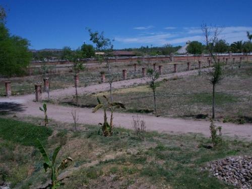 Vendo lote 2 Campestre de 1135 m2 dentro de la Ciudad 