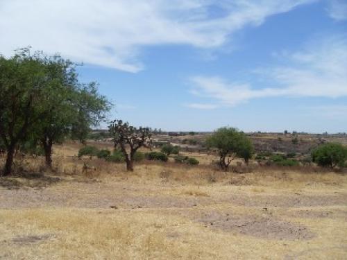 Vendo terreno sobre carretera de oportunidad a 100 pesos el m2