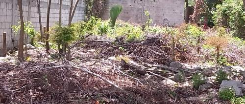 LOTE COMERCIAL FRENTE A COLEGIO COLONIA TUMBENKAH