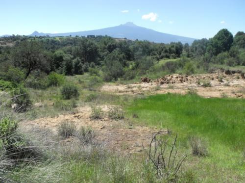 Venta de Terreno Rústico 13,000 m2  ¡Excelente Oportunidad!