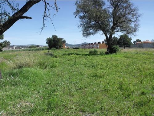 Venta de Terreno  ¡Excelente Ubicación!   1393 m2