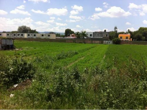 Vendo terreno al norte de oportunidad todos los servicios