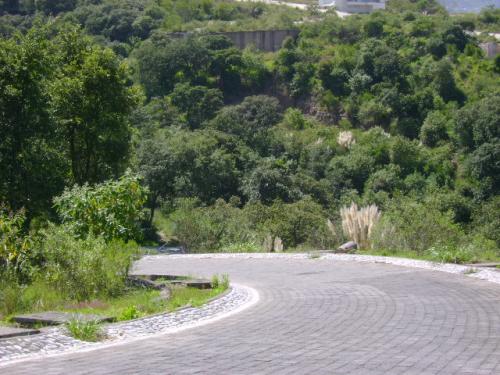 BOSQUE REAL. MAGNÍFICO TERRENO PANORÁMICO