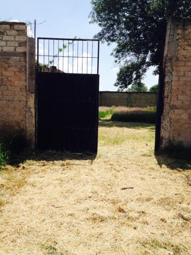 TESISTAN JARDINES DE SANTA LUCIA