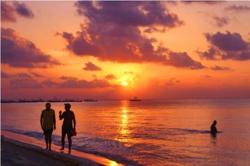 Terrenos en Venta en la Riviera Maya