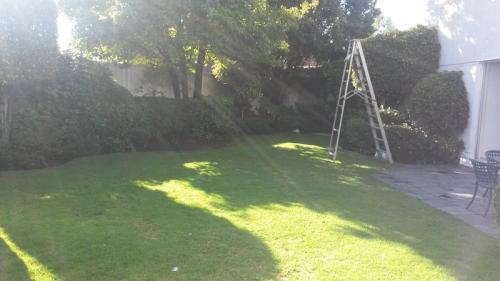 Magnífica Residencia Bosques de las Lomas, Bosque de Caobas