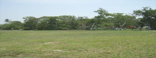 EN PLAYA DE VACAS. MPIO. DE MEDELLIN. VERACRUZ (TERRENO).