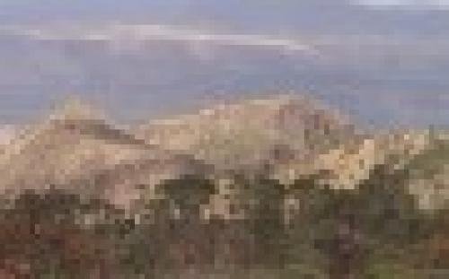 214 Hectareas Esciruradas en LA YESCA TEPIC NAYARIT