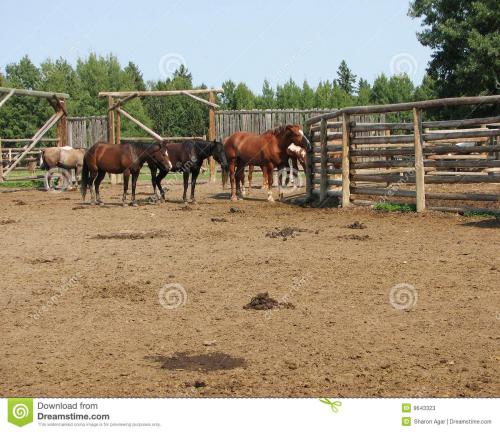 TERRENO CARRETERA VERACRUZ-CORDOBA.