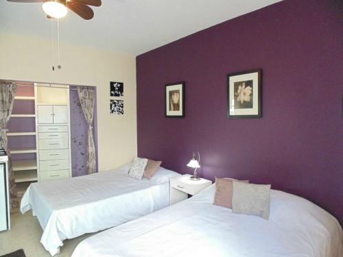 Beautifull furnished aparment with basic services