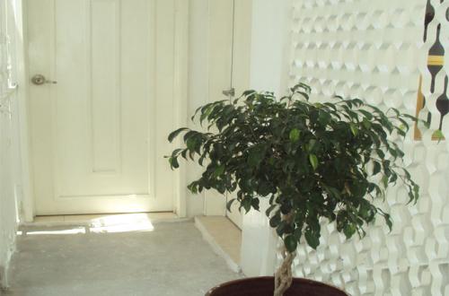 DEPARTAMENTOS BARATOS