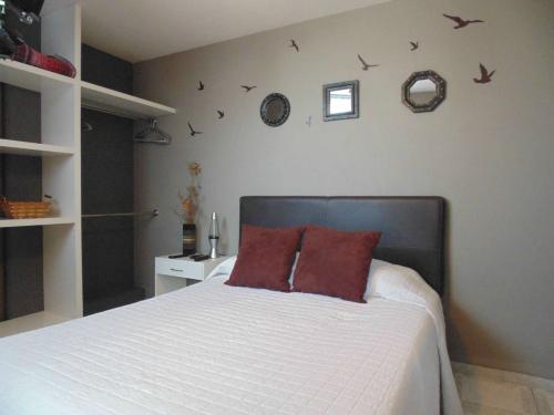 Suites equipadas y amuebladas en renta