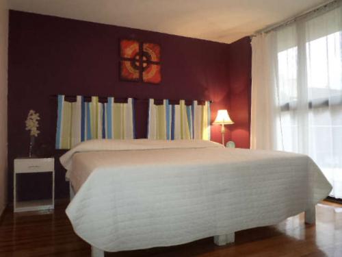 departamento amueblado y con terraza en renta!!!