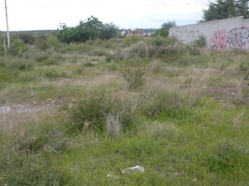 Terreno de 733m2 San Juan del Río 