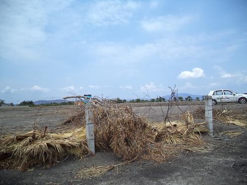 Terreno de  863m2  en Tequesquitengo