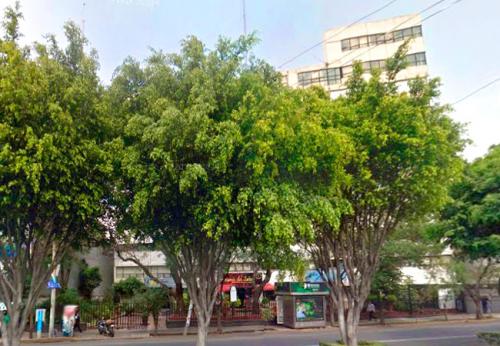 Oficina Division del Norte, Portales Sur.