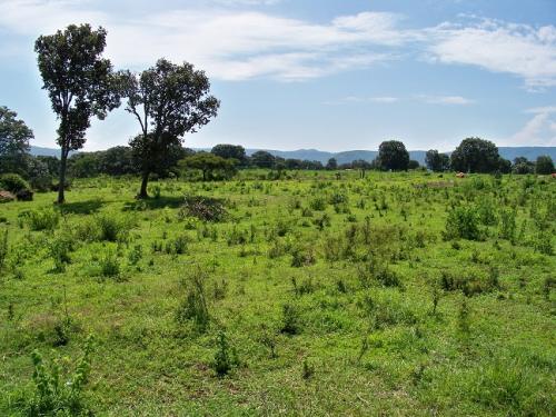 A solo 1 hr de Guadalajara el Terreno ideal para su casa de campo con abundante agua