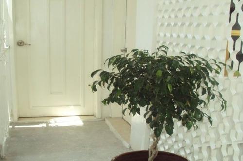 ACEPTAMOS TU CRÉDITO AMPLIOS DEPARTAMENTOS A TU ALCANCE 