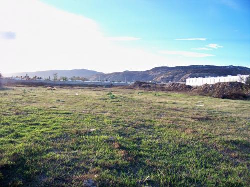 Excelente terreno 2 has ideal para coto por Camino Real a Colima