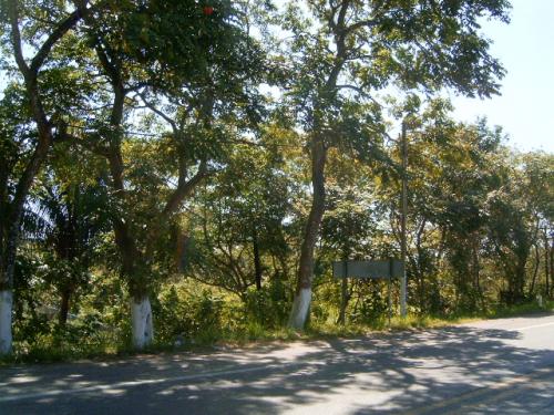 TERRENO COMERCIAL EN VENTA CARRETERA VILLAHERMOSA A AEROPUERTO KM 13.5 DEL POBLADO DOS MONTES, VILLAHERMOSA TABASCO MEXICO.