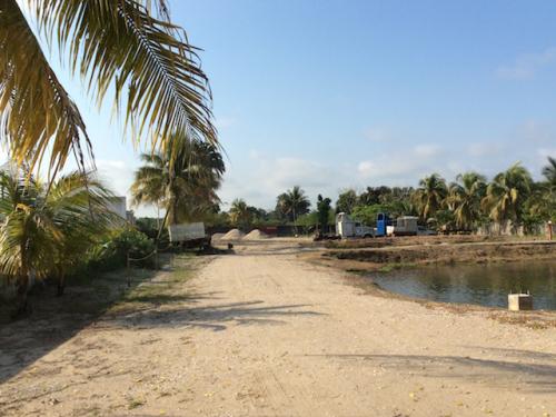 TERRENO INDUSTRIAL EN RENTA