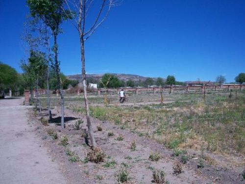 VENDO LOTE 1 CAMPESTRE 1489.01 m2 DENTRO DE LA CIUDAD