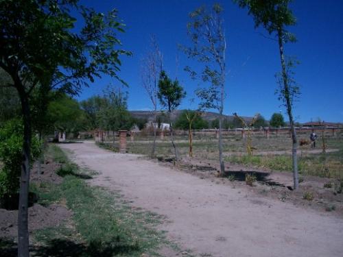  VENDO LOTE 4 CAMPESTRE DE 1071 m2 DENTRO DE LA CIUDAD