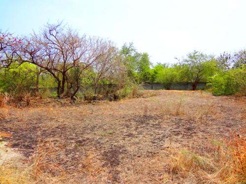 Amplio Terreno para campestre, Morelos