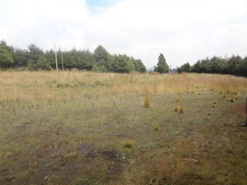 Terreno Tecuentitla, Santo Tomas Ajusco