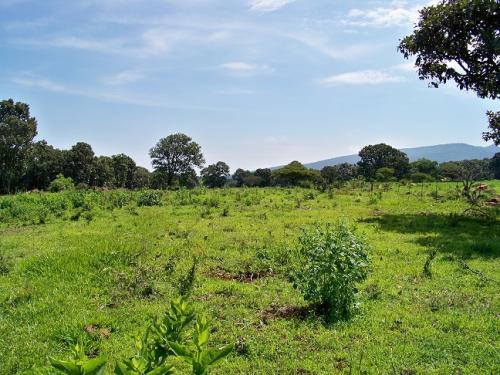 Terreno ideal para su casa de campo de ensueño