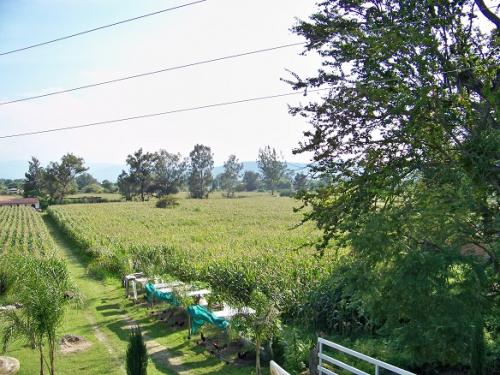 Para su granja buen terreno sobre carretera