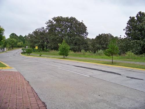 El mejor precio del Palomar